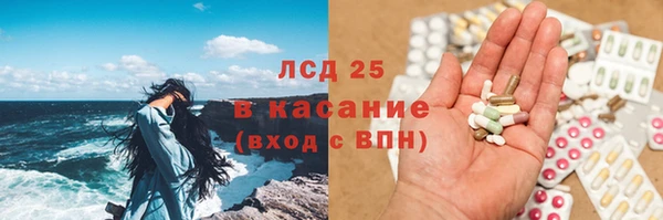гашик Арсеньев