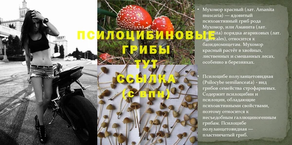 гашишное масло Рославль